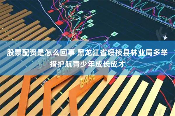 股票配资是怎么回事 黑龙江省绥棱县林业局多举措护航青少年成长成才