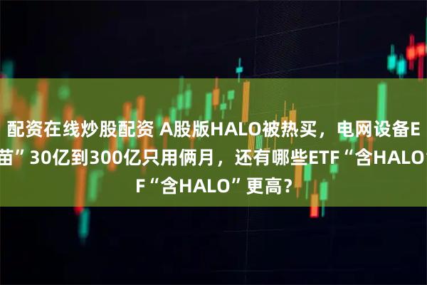 配资在线炒股配资 A股版HALO被热买，电网设备ETF“独苗”30亿到300亿只用俩月，还有哪些ETF“含HALO”更高？