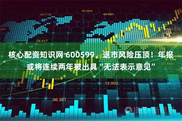 核心配资知识网 600599，退市风险压顶！年报或将连续两年被出具“无法表示意见”
